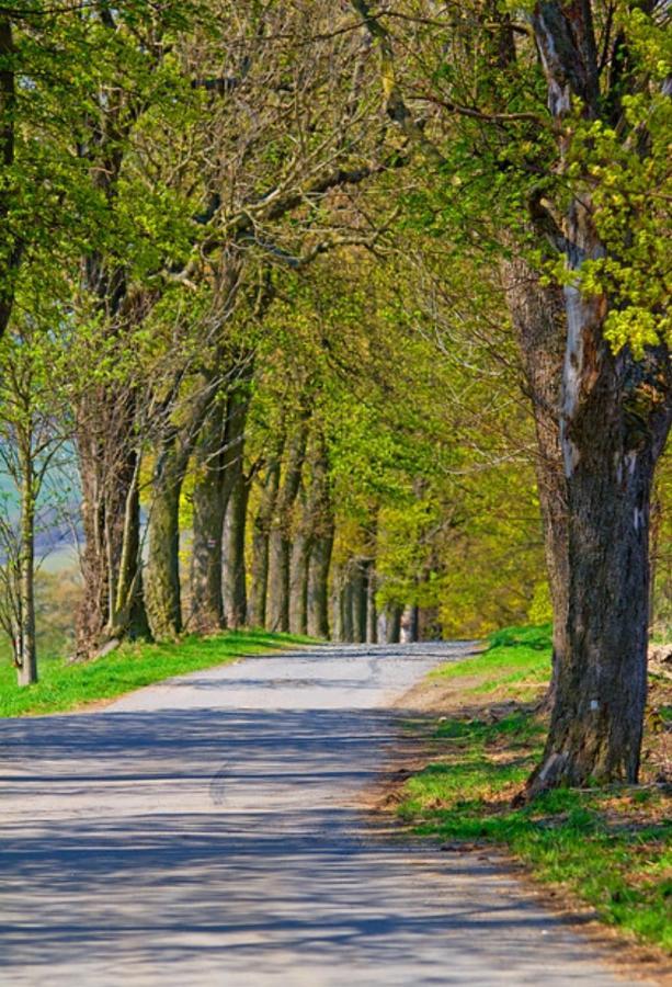Ferienwohnung Rotbuche Tannenberg Экстерьер фото