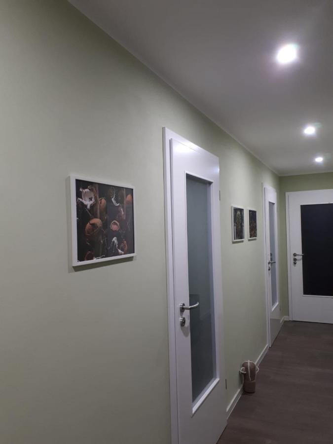 Ferienwohnung Rotbuche Tannenberg Экстерьер фото