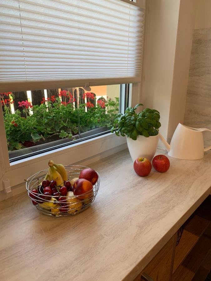 Ferienwohnung Rotbuche Tannenberg Экстерьер фото